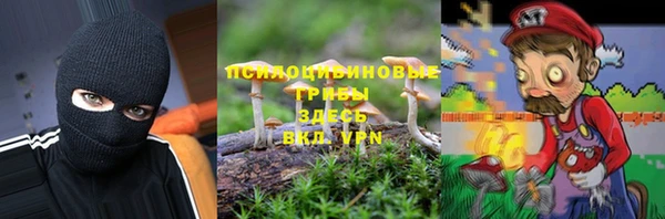 ГАЛЛЮЦИНОГЕННЫЕ ГРИБЫ Арсеньев