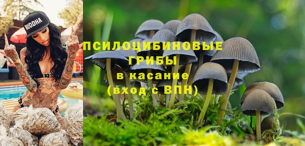 ГАЛЛЮЦИНОГЕННЫЕ ГРИБЫ Арсеньев