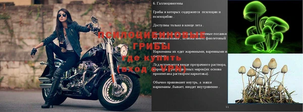 прущие крисы Белоозёрский