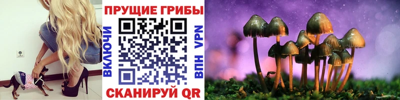 Купить где  Геленджик  Псилоцибиновые грибы MAGIC MUSHROOMS 