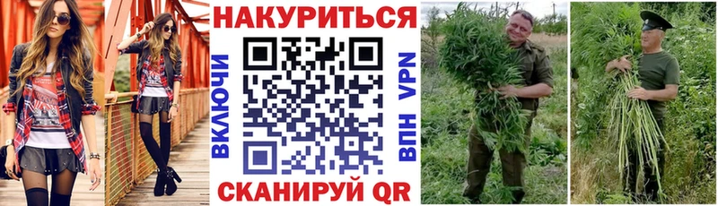 Купить где  Геленджик  Канабис индика 